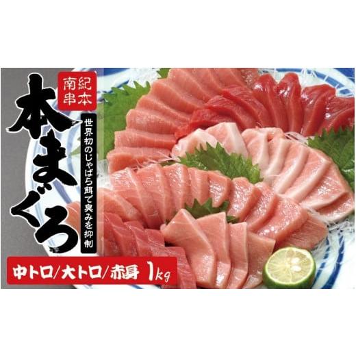 ふるさと納税 和歌山県 串本町 【通常発送】本マグロ トロ＆赤身セット 1kg（養殖） 濃厚な赤身と...