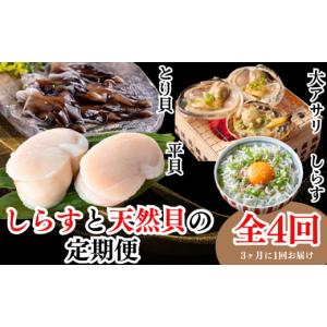 ふるさと納税 魚貝類 あさり 愛知県 南知多町...の詳細画像1