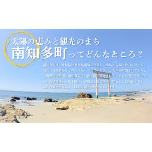 ふるさと納税 魚貝類 あさり 愛知県 南知多町...の詳細画像5
