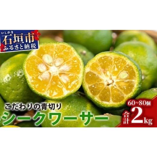 ふるさと納税 みかん・柑橘類 沖縄県 石垣市  先行予約 2026年8月以降順次発送 こだわりの青切...