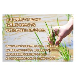 ふるさと納税 米 あきたこまち 秋田県 三種町...の詳細画像4