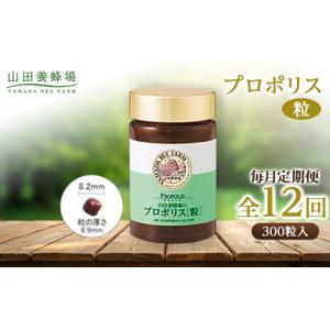 ふるさと納税 加工品等 岡山県 津山市 毎月定...の詳細画像1
