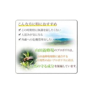 ふるさと納税 加工品等 岡山県 津山市 毎月定...の詳細画像2