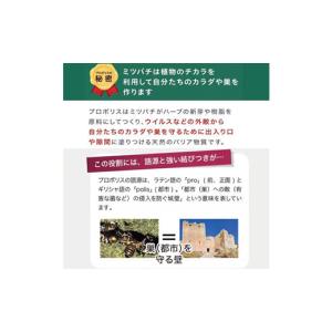 ふるさと納税 加工品等 岡山県 津山市 毎月定...の詳細画像3