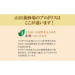 ふるさと納税 加工品等 岡山県 津山市 毎月定...の詳細画像4