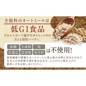 ふるさと納税 加工品等 岐阜県 高山市 シュガ...の詳細画像3