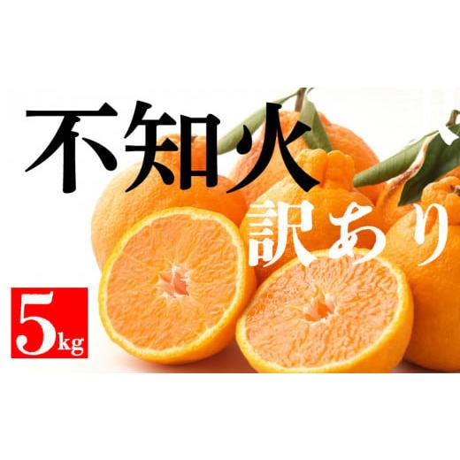 ふるさと納税 みかん・柑橘類 デコポン 愛媛県 愛南町 不知火 しらぬい みかん 農家直送 デコポン...