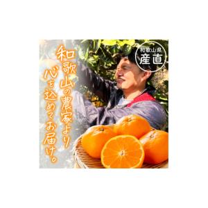 ふるさと納税 果物の詰合せ 和歌山県 かつらぎ...の詳細画像2
