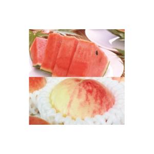 ふるさと納税 果物の詰合せ 和歌山県 かつらぎ...の詳細画像4