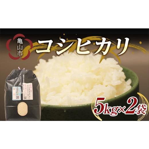 ふるさと納税 三重県 亀山市 昼生産コシヒカリ 5kg×2袋 F24N-541