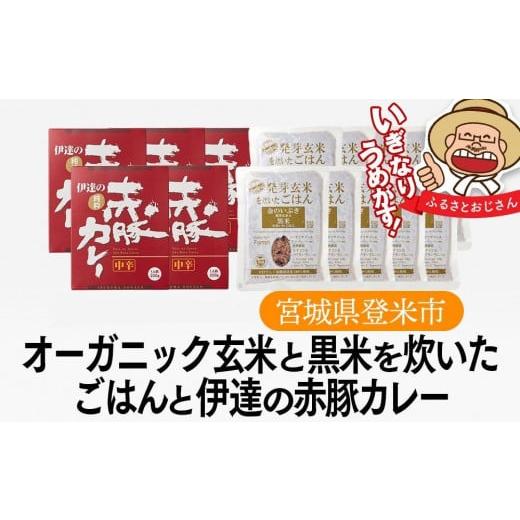 ふるさと納税 宮城県 登米市 オーガニック玄米と伊達の赤豚カレー セット（ご飯６個×カレー３個）パッ...