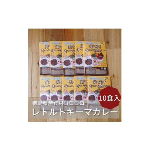 ふるさと納税 徳島県 阿南市 徳島県産食材ゴロゴロキーマカレー　10食入り【1477627】