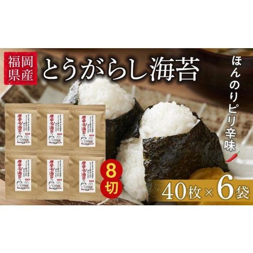 ふるさと納税 福岡県 大任町 福岡県産有明のり　とうがらし海苔　8切40枚入×6袋入【海苔 のり ノ...