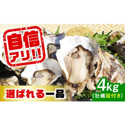 ふるさと納税 広島県 江田島市 【5月16日（木）着】特選 牡蠣三昧！【生牡蠣】広島牡蠣　殻付き4k...