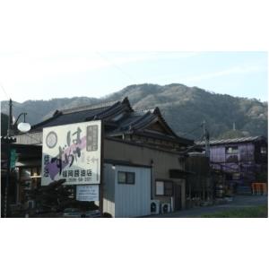 ふるさと納税 醤油 三重県 伊賀市 醤油 しょ...の詳細画像5