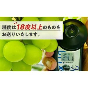 ふるさと納税 果物類 ぶどう 岡山県 岡山市 ...の詳細画像3