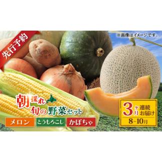 ふるさと納税 北海道 喜茂別町 【ニセコ町産】旬の野菜詰合せ3回セット(頒布会)  2024年8月〜...