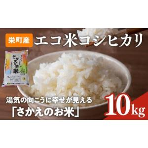 ふるさと納税 米 コシヒカリ 千葉県 栄町 令和7年産米（数量限定）ちばエコ認定米 栄町産 コシヒカリ10kg（5kg袋×2） 長谷川農園｜令和7年産 白米 精米 お米 …