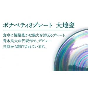 ふるさと納税 食器・グラス 大皿 岐阜県 土岐...の詳細画像2