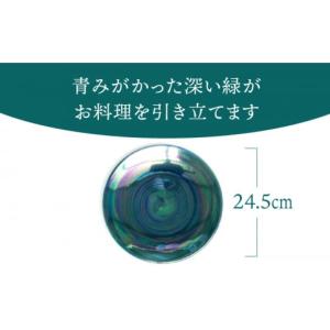 ふるさと納税 食器・グラス 大皿 岐阜県 土岐...の詳細画像3