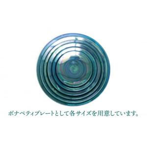ふるさと納税 食器・グラス 大皿 岐阜県 土岐...の詳細画像5