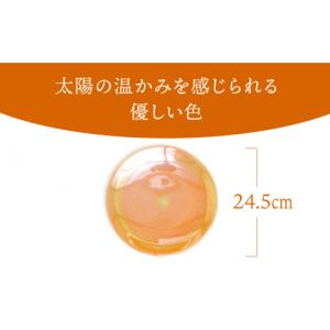 ふるさと納税 陶磁器・漆器・ガラス 岐阜県 土...の詳細画像3