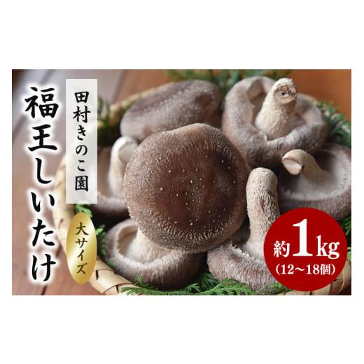 ふるさと納税 野菜類 きのこ 茨城県 笠間市  先行販売／2025年10月中旬〜発送 福王しいたけ ...