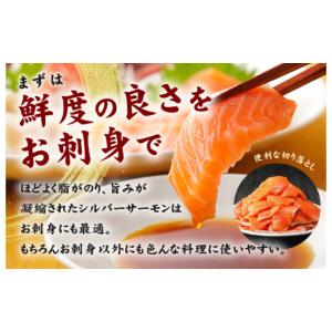 ふるさと納税 魚貝類 サーモン 大阪府 泉佐野...の詳細画像2
