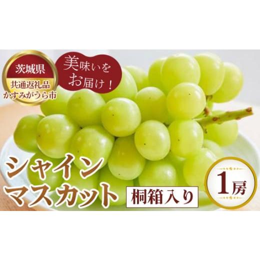 ふるさと納税 茨城県 坂東市 No.592 【先行予約】お中元　シャインマスカット　桐箱入り1房【茨...