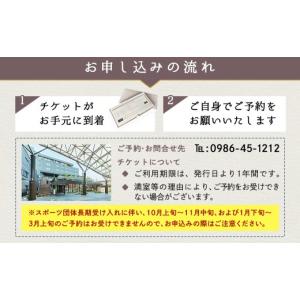 ふるさと納税 宿泊券 ホテル 宮崎県 都城市 ...の詳細画像4
