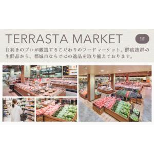 ふるさと納税 宿泊券 ホテル 宮崎県 都城市 ...の詳細画像5