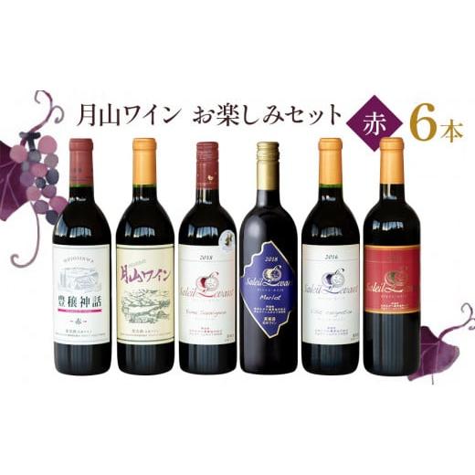 ふるさと納税 山形県 鶴岡市 月山ワイン　赤ワイン６本　お楽しみセット　E16-201