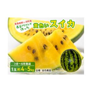 ふるさと納税 スイカ 青森県 鰺ヶ沢町 先行予約2025年産 長谷川 ふるさと納税 スイカ 青森県 鰺ヶ沢町 先行予約2025年産 長谷川