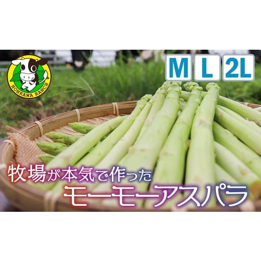 ふるさと納税 大分県 日田市 Ａ−２３７−２０２４０８ 【2024年8月上旬より発送開始】モーモーア...