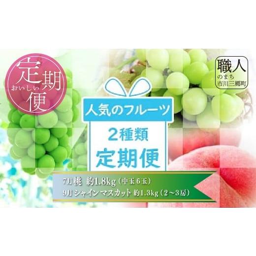 ふるさと納税 自治体にお任せ 山梨県 市川三郷町 山梨県 市川三郷町 フルーツ定期便（計2回）　桃 ...