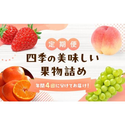 ふるさと納税 果物の詰合せ 香川県 坂出市  定期便 四季の美味しい果物詰め　年間４回に分けてお届け