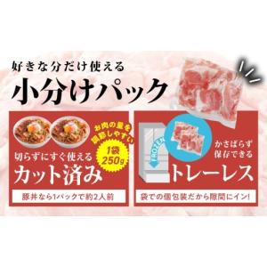 ふるさと納税 豚肉 炒め物 宮崎県 都城市 国...の詳細画像4