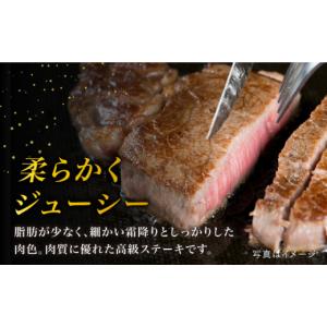 ふるさと納税 牛肉 ヒレ 福岡県 糸島市 全1...の詳細画像3