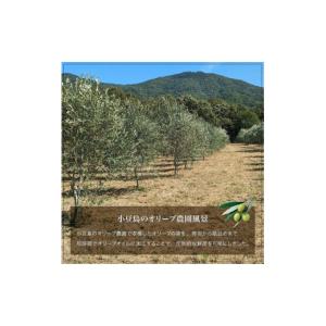 ふるさと納税 食用油 オリーブオイル 香川県 ...の詳細画像4