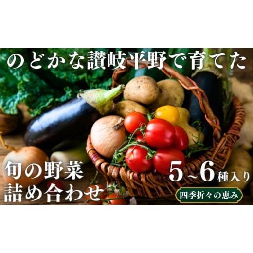 ふるさと納税 香川県 丸亀市 [No.5341-0639]のどかな讃岐平野で育てた 旬の野菜 詰め合...