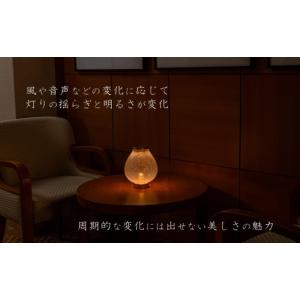 ふるさと納税 照明関連 長野県 富士見町 Te...の詳細画像5