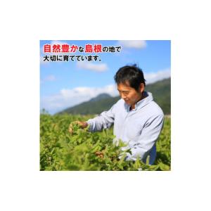 ふるさと納税 食用油 ごま油 島根県 出雲市 ...の詳細画像5