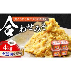 ふるさと納税 味噌 広島県 江田島市 全12回...の詳細画像1