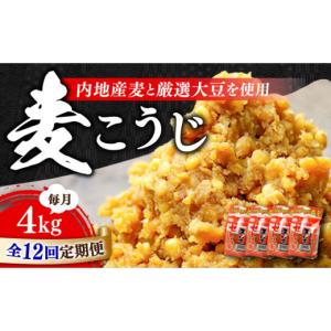 ふるさと納税 味噌 広島県 江田島市 全12回...の詳細画像1