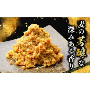 ふるさと納税 味噌 広島県 江田島市 全12回...の詳細画像2