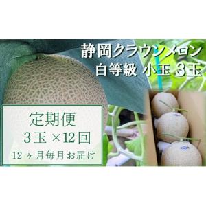 ふるさと納税 メロン メロン青肉 静岡県 袋井...の詳細画像1