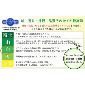 ふるさと納税 メロン メロン青肉 静岡県 袋井...の詳細画像2