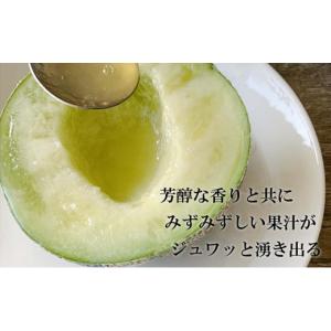 ふるさと納税 メロン メロン青肉 静岡県 袋井...の詳細画像3