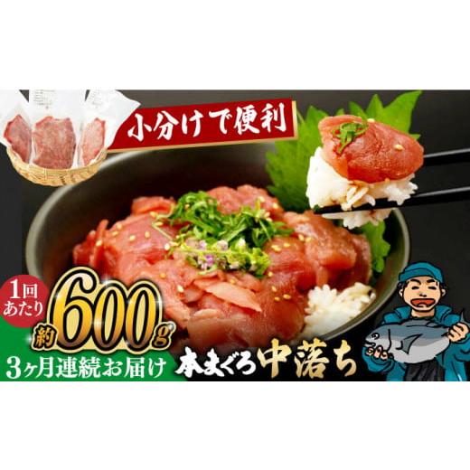 ふるさと納税 長崎県 - 【全3回定期便】長崎県産 本まぐろ中落ち (約600g) 長崎県／長崎県漁...