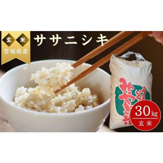 ふるさと納税 米 ササニシキ 宮城県 東松島市  チョイス先行受付開始 令和7年産米 ササニシキ 玄...